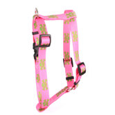 Pink/Green Skulls Roman Harness