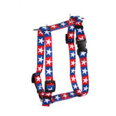Colonial Stars Roman Harness