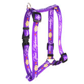 Your Highness Roman Harness