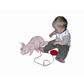 Adapted Pig