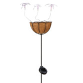 Hummingbird's Glow Planter