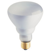 65W (2700K) Incandescent Light Bulb (Set of 2)