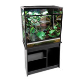 Classic Glass Terrarium