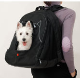 Pet Back-Pack at Work Travel System in Black