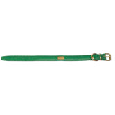 Fashion Flat Leather Dog Collar in Green