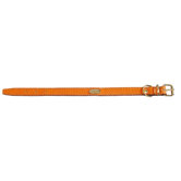 Fashion Flat Leather Dog Collar in Orange