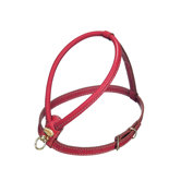 Fashion Leather Dog Harness in Red