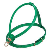 Fashion Leather Dog Harness in Green