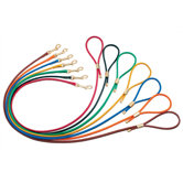 Dog Leashes + Collars