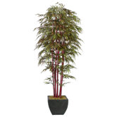 Realistic Bamboo Tree in Medium Decorative Planter
