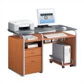 Contemporary Computer Desk