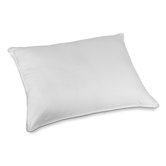 Fiber Surround Memory Foam Pillow