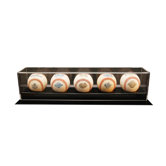 Five Baseball Display Case