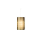 Fab 1 Light Two-Circuit Monorail Pendant