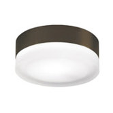 2 Light Flush Mount