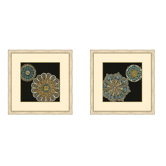 Midnight Rosette II Wall Art Collection