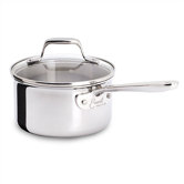 Pro-Clad 1-qt. Stainless Steel Saucepan with Lid