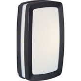 Zenith Outdoor Wall Sconce