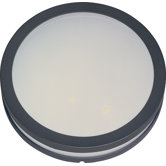 Zenith Outdoor Wall Sconce
