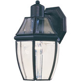 South Park 1 Light Outdoor Wall Light with Clear Glass