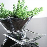 Polaris 6" Bowl