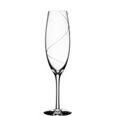 Eclipse XL Flute Glass
