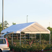 Canopy Replacement Cover