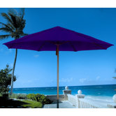 Dayva International Umbrellas