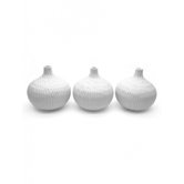 Vases by Blissliving Home