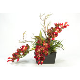 Cymbidium Orchids in Rectangle Planter