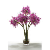 Starfire Alliums in Hexagon Glass Vase