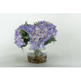 Hydrangeas in Ribbed Glass Vase