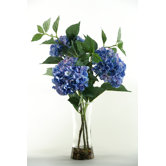 Hydrangeas in Tall Glass Vase