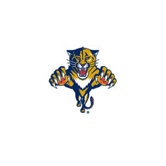 Florida Panthers