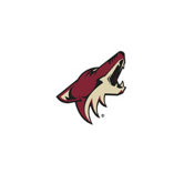 Phoenix Coyotes