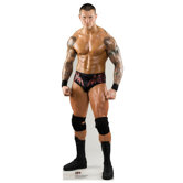 WWE Cardboard Stand-Up