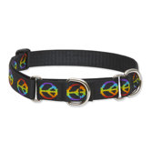 Woofstock 1" Adjustable Large Dog Combo Collar