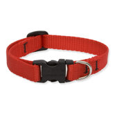 Solid Color 1/2" Adjustable Small Dog Collar