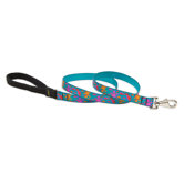 Wet Paint Dog Lead