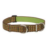 Copper Canyon 1" Combo Dog Collar