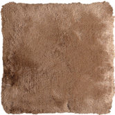 Floor CEL-BG Pillow