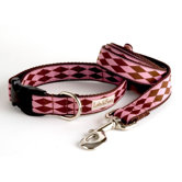 Harlequin Dog Collar