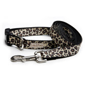 Leopard Black Dog Collar