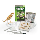 Dinosaur Fossils Science Set