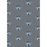 College Repeating NCAA Novelty Rug