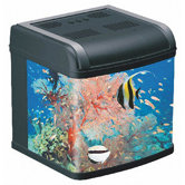 24 Gallon All-in-One Aquarium System