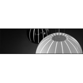 Citrus 4 Light Globe Pendant