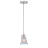 1 Light Pendant