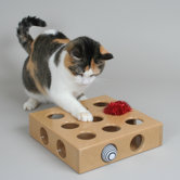 Peek and Play Toy Box