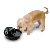 Ceramic Drinking Fountain in Black